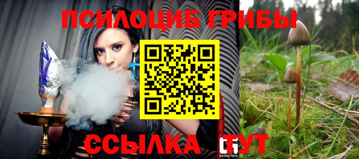 Псилоцибиновые грибы Psilocybe  Псилоцибиновые грибы MAGIC MUSHROOMS  Чехов  Вход с VPN 